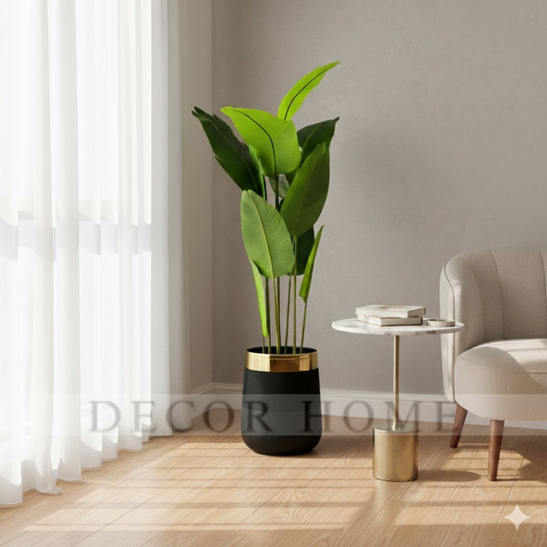 Banana Leaf Plant