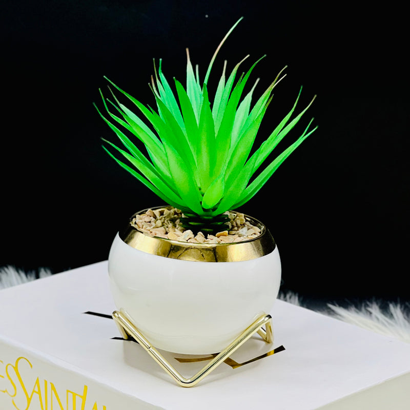 Artificial Cactus Plant Vase