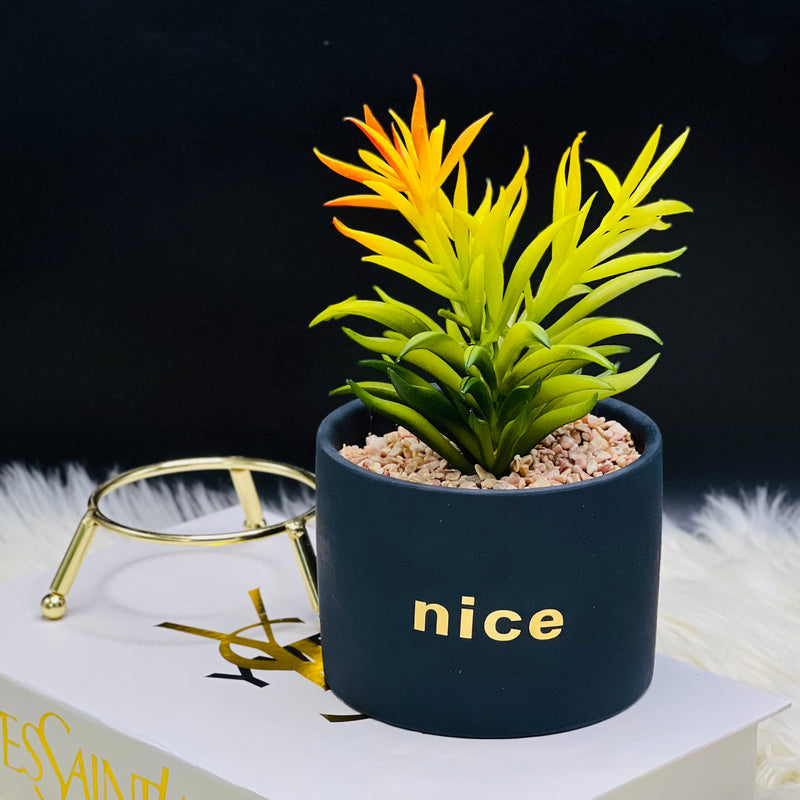 Tripod Stand Pot Planter