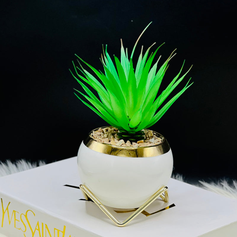 Artificial Cactus Plant Vase