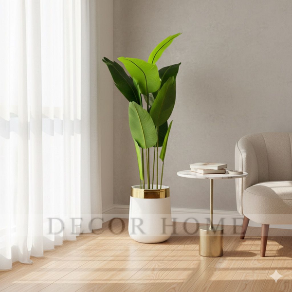 Banana Leaf Plant