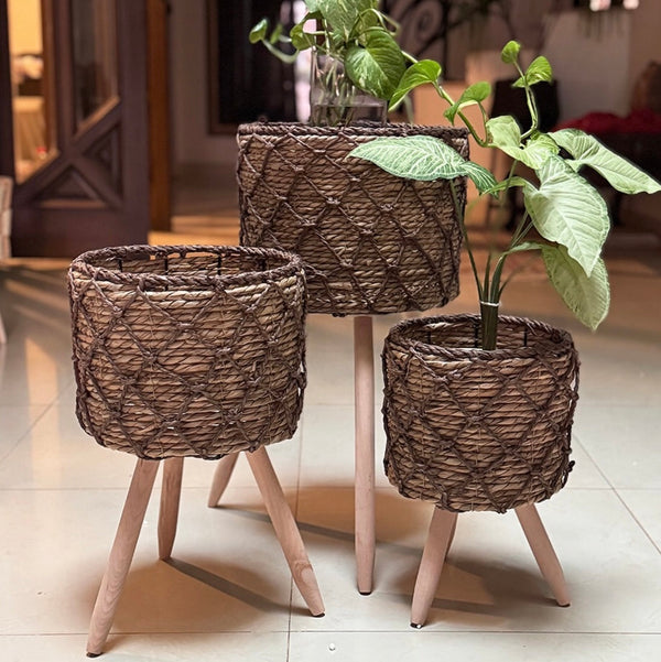 Plants Storage Tripod Pots (Set Of 3)