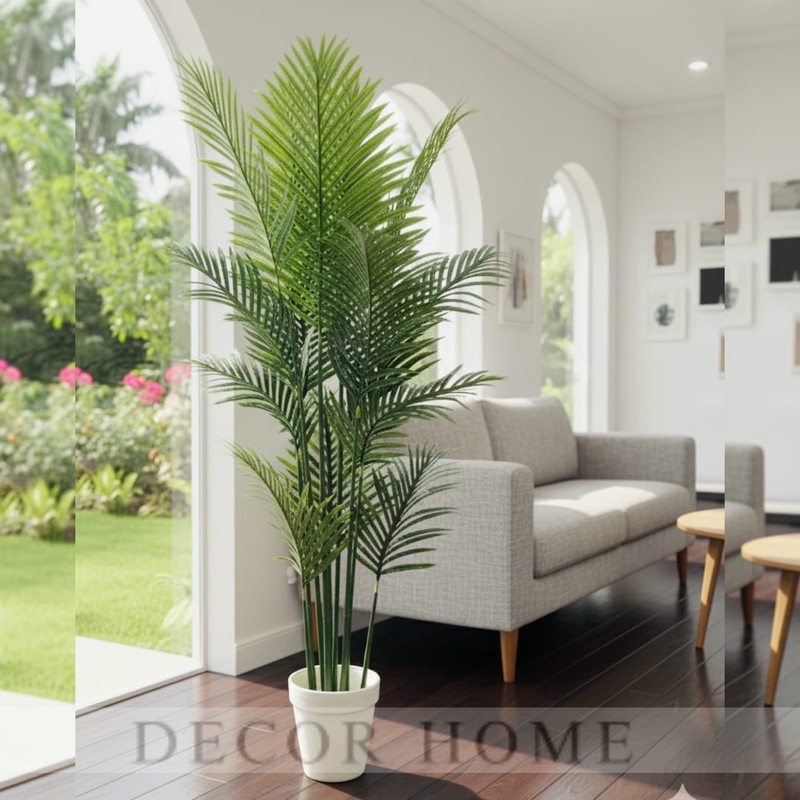 Tropical Breeze Plant