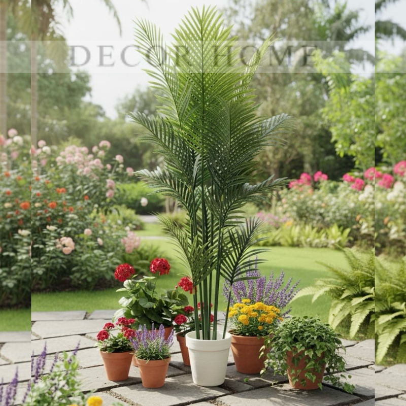 Tropical Breeze Plant