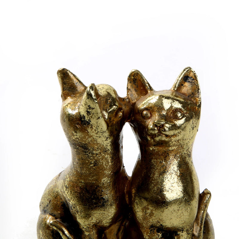 Sphynx Golden Cats