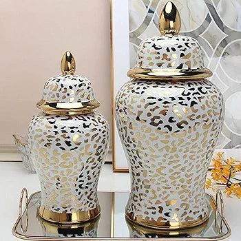 Stylish Ceramic Vase (Set Of 2)