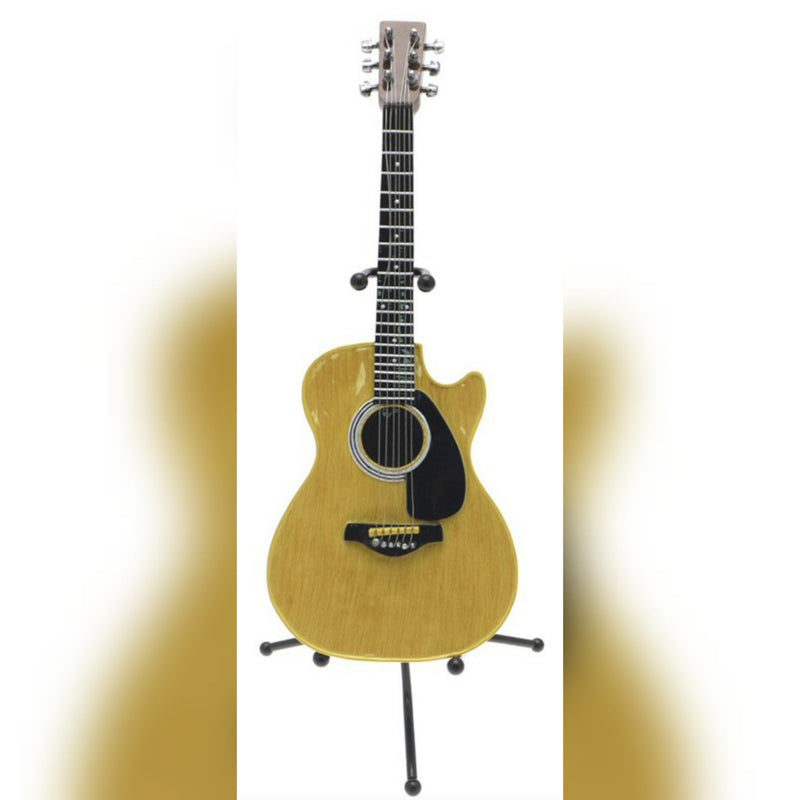 Accoustic Guitar Money Bank