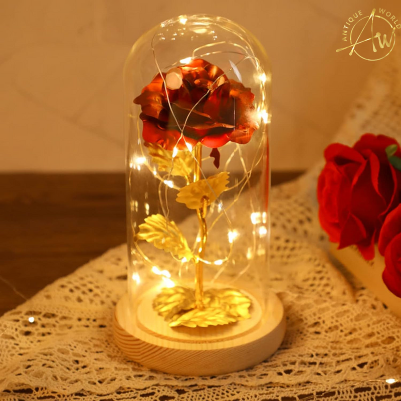 Fairy LED Elegant Home Decor