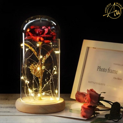 Fairy LED Elegant Home Decor