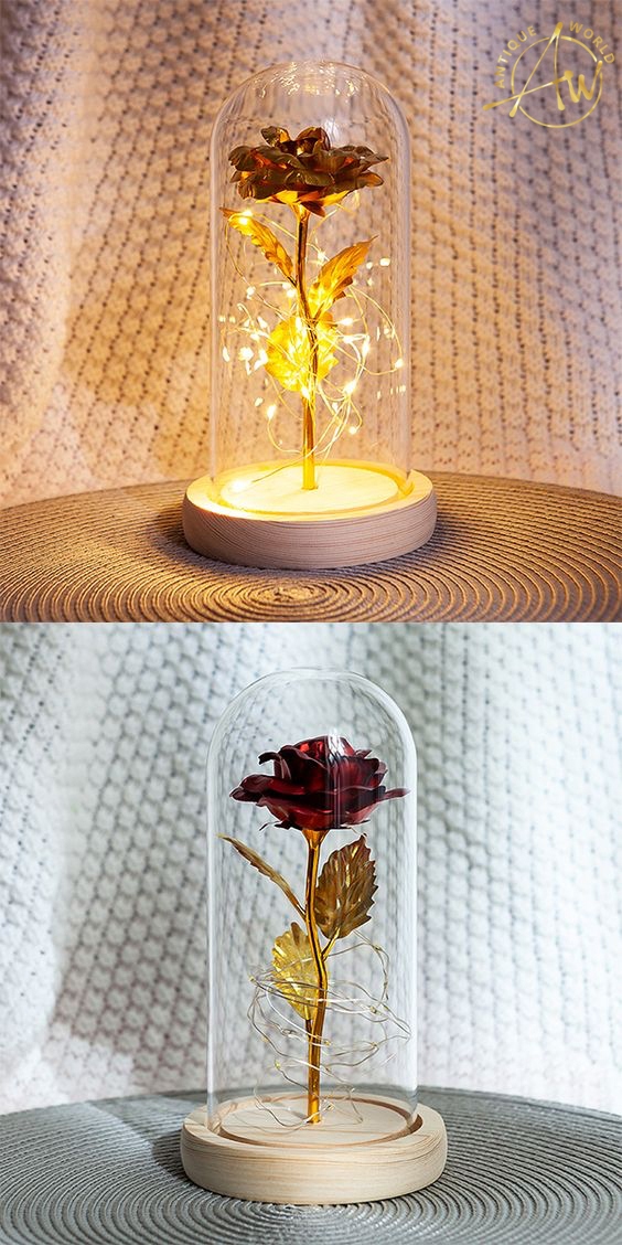 Fairy LED Elegant Home Decor