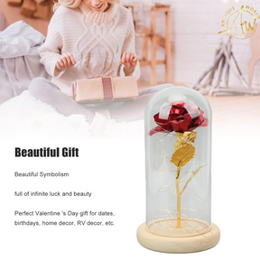 Fairy LED Elegant Home Decor