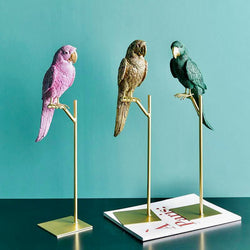 Minimalist Parrot Decor